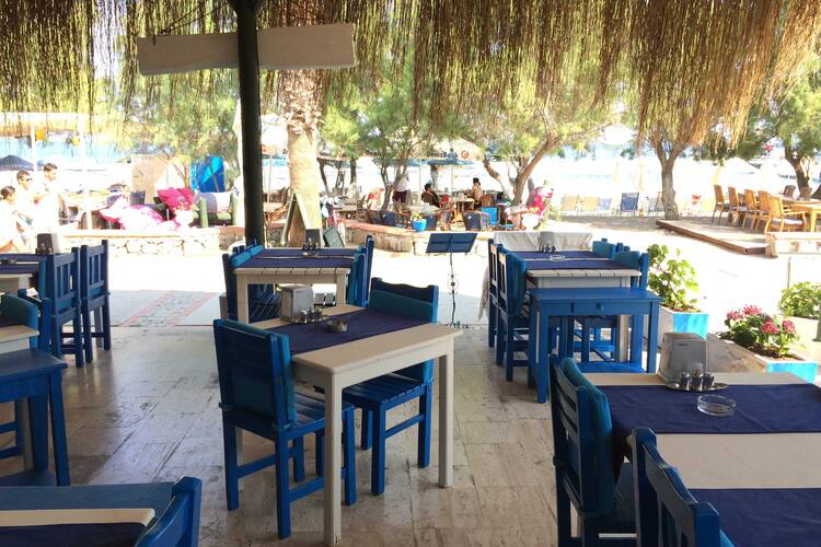 Zeferia Ortakent Bodrum Zomato